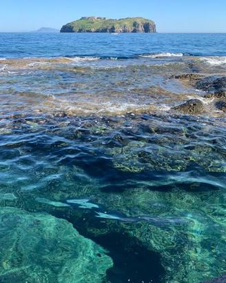 Appartamento Ventotene [VENTOTENEVRG]