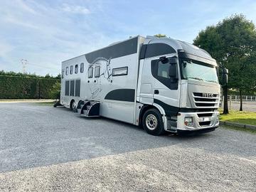 Van Iveco trasporto cavalli con living popout
