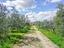 Immagine 22