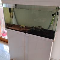 acquario ciano 100l 