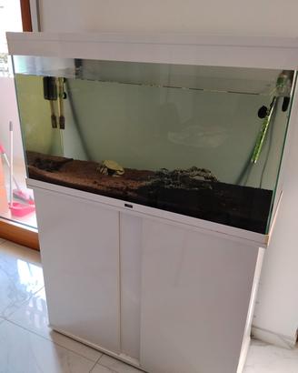 acquario ciano 