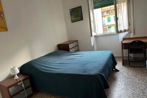 Camera singola zona novoli polo universitario