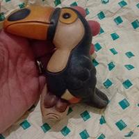Thun tucano