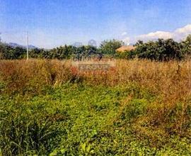 Terreno Agricolo - Calatabiano