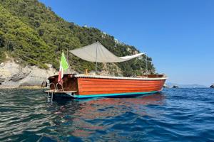 Barca Mussini Utility