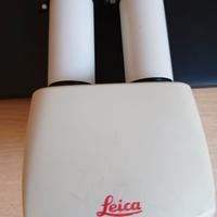 Testa Leica