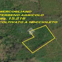 TER. AGRICOLO A MERCOGLIANO