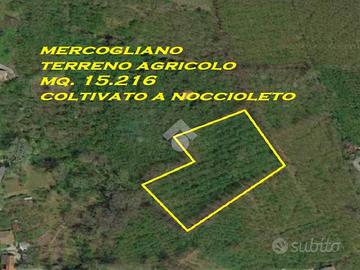 TER. AGRICOLO A MERCOGLIANO