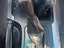 Immagine 26