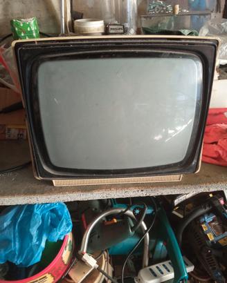 televisione portatile 