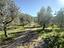 Immagine 12