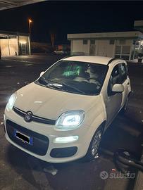 Panda 1.3 mltjt 2015 in condizioni da vetrina