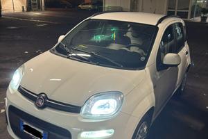 Panda 1.3 mltjt 2015 in condizioni da vetrina