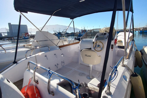 Mimi Fishermann 22 Walk Around