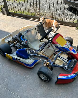 Kart kz