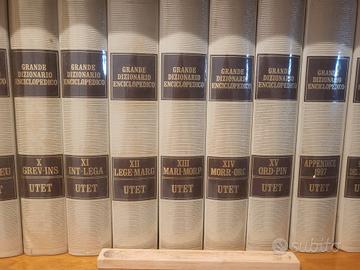 Dizionario encicpopedico 