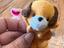 Immagine 4