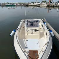 barca, motore,carrello. 