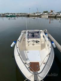 barca, motore,carrello. 