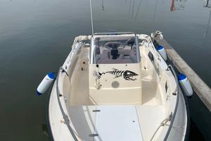 barca, motore,carrello. 