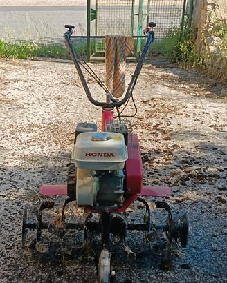 zappatrice Honda 5 cavalli 