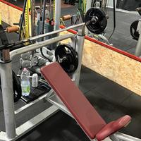 Panca inclinata bilanciere technogym