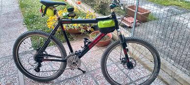 Bicicletta Mountain bike uomo