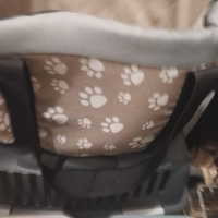 Borsa Porta Cane Gatto