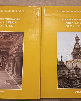 coppia libri arte indiana 