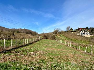 PALESTRINA: TERRENO AGRICOLO