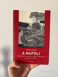 Libro A Napoli - Luoghi, storie e persone dizionar