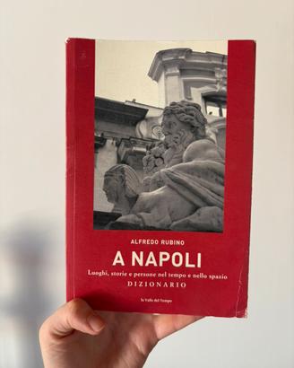 Libro A Napoli - Luoghi, storie e persone dizionar