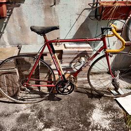 bicicletta da corsa