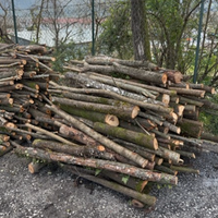 Legna di acacia da ardere o per recinto esterno
