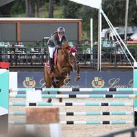 Cavalla salto ostacoli