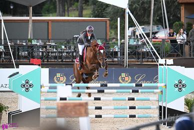 Cavalla salto ostacoli