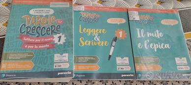 libro scolastico grammatica testo + esercizi 