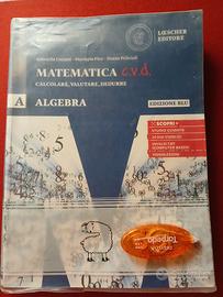 Matematica C.V.D. Ed. Blu Algebra A