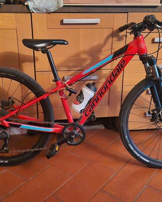 Bicicletta MTB Cannondale Bambino
