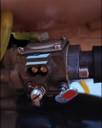 Carburatore walbro 