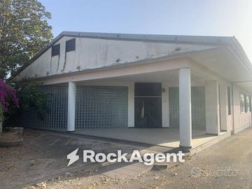 Immobile di 600 m² a Altavilla Silentina