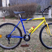 Mountain bike ragazzo/ragazza 26"