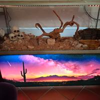 Teca per rettili  cm110 x40x40 nuova