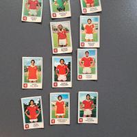 Perugia Panini 1978-1979 