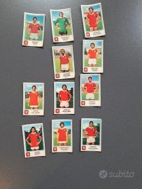 Perugia Panini 1978-1979 