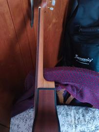 Protegé by Cordoba C1M cet