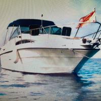 Sea ray 250 sundacer