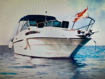 Sea ray 250 sundacer