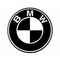 BMW service reset 