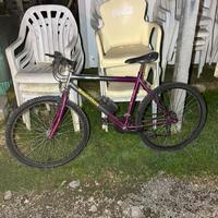 Mountain bike